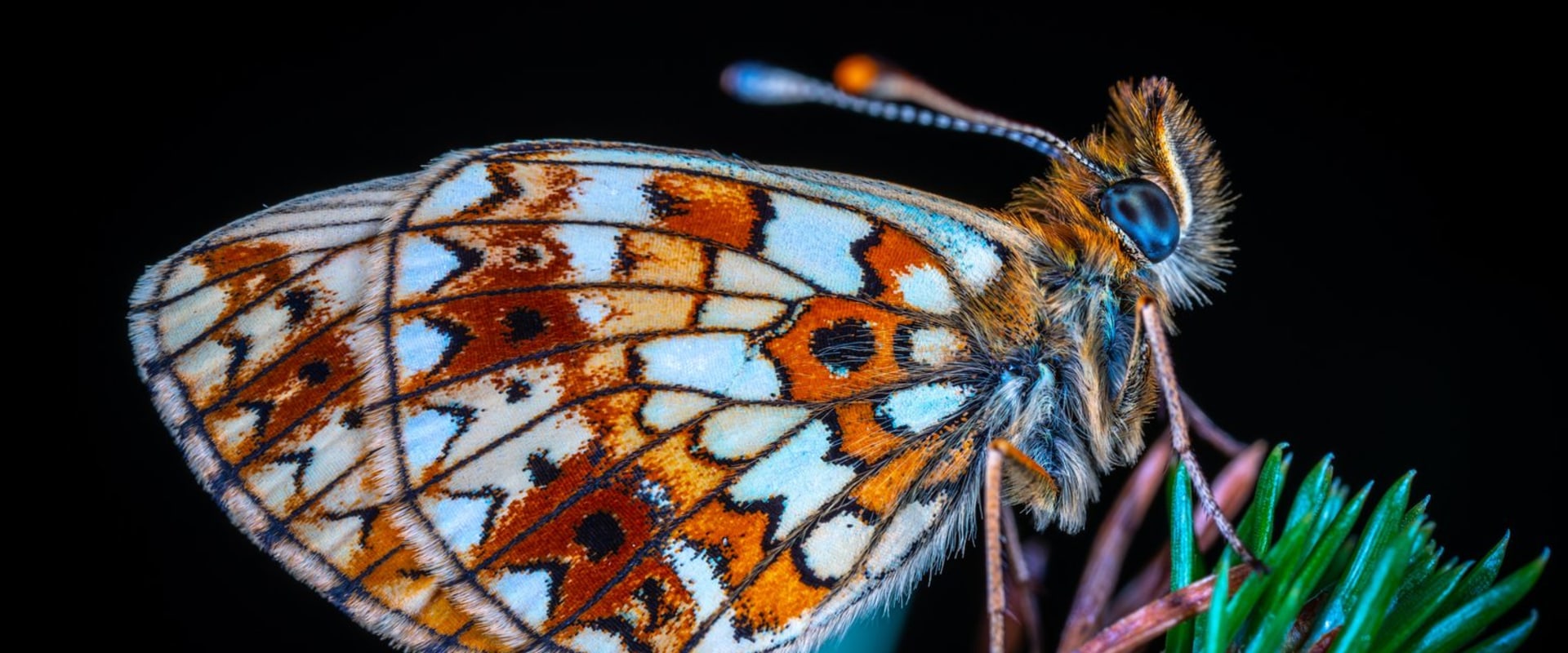 An Introduction to the Box-Jenkins Approach for Econometrics